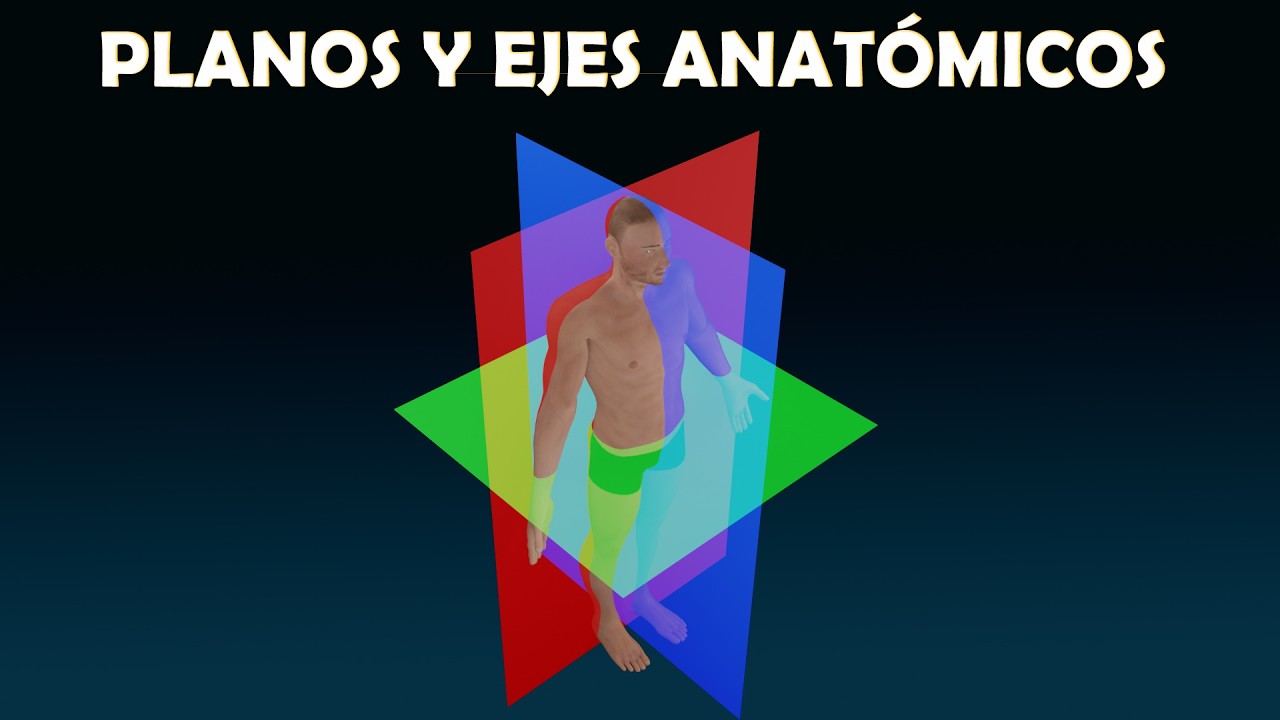 Posición anatómica, planos y ejes del cuerpo humano