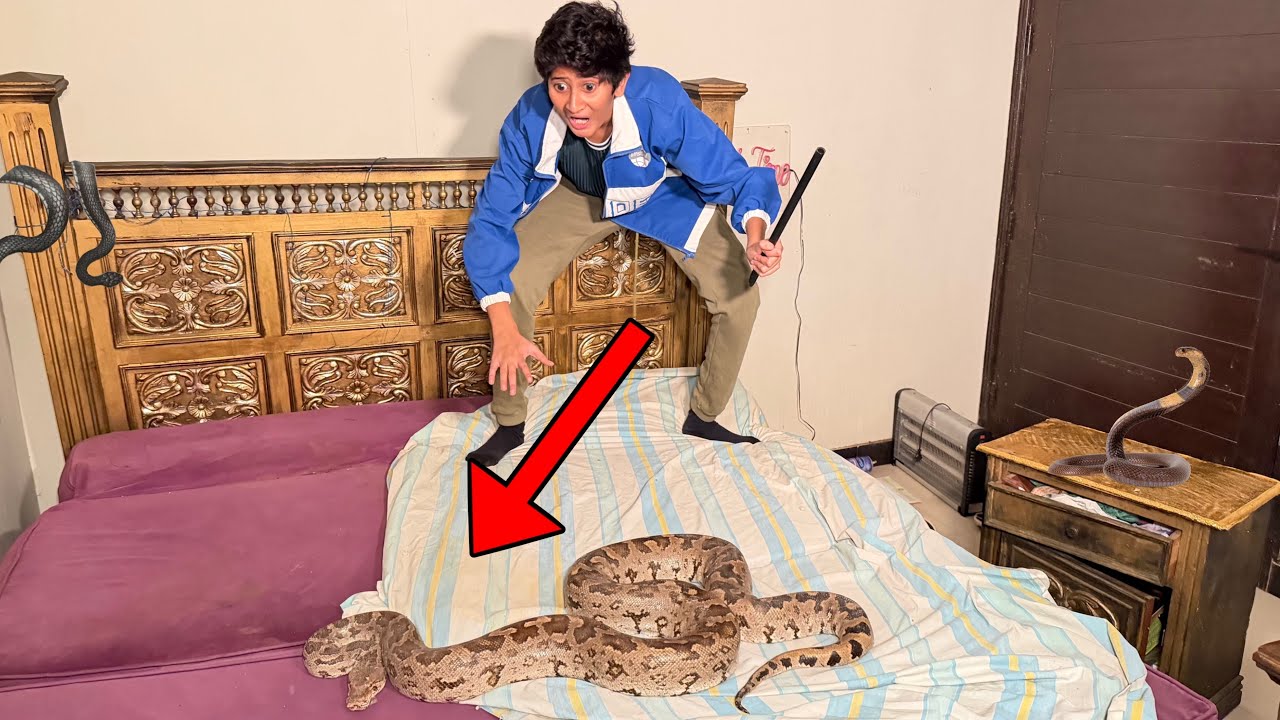 FOUND REAL BIG SNAKE IN MY ROOM *GOT ATTACKED*