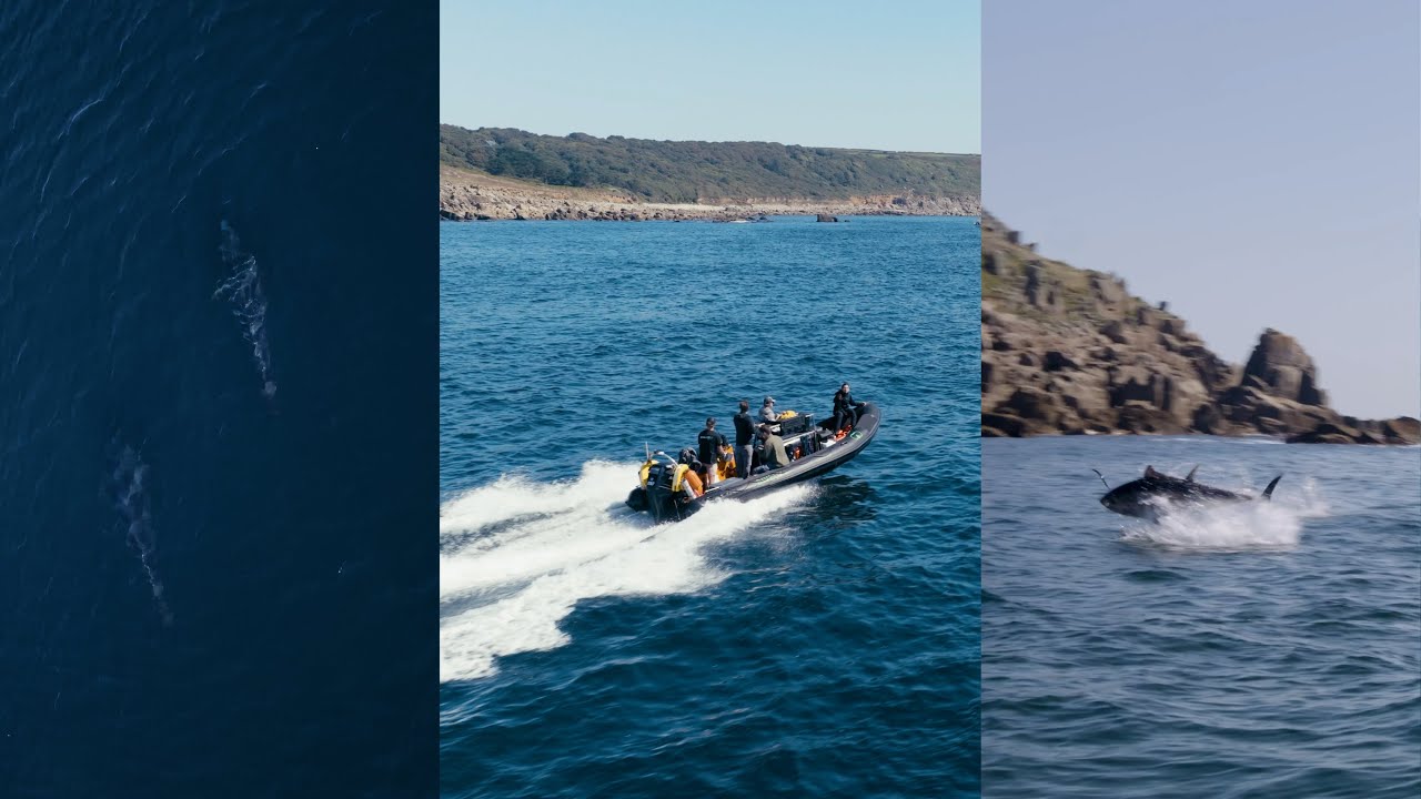 Atlantic Giants Part II: Searching for Atlantic Bluefin Tuna