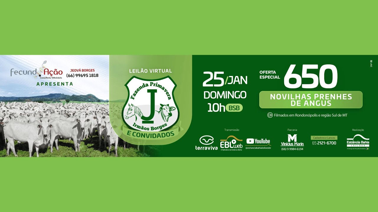 LEILÃO VIRTUAL FAZENDA PRIMAVERA & CONVIDADOS | 25/01/2026 – 10H