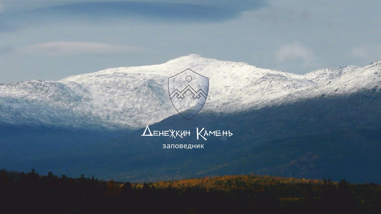 Д/ф 