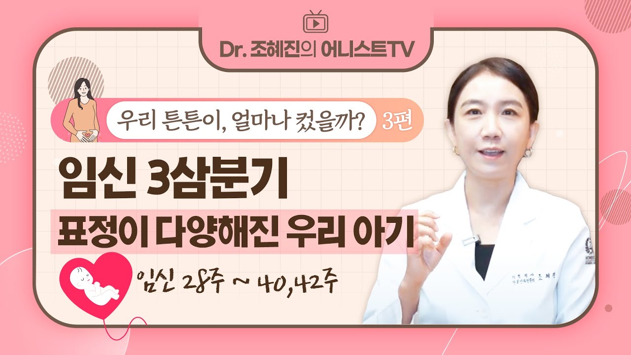 [주수별 우리 아기는?3] '임신 3삼분기' 나올 준비하는 우리 아기👶 | 임신 28~40주