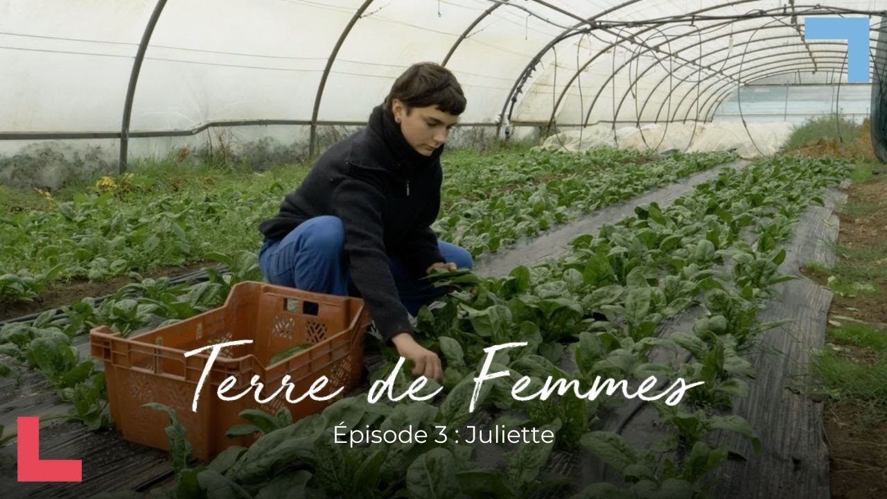 Juliette [Terre de femmes #3]