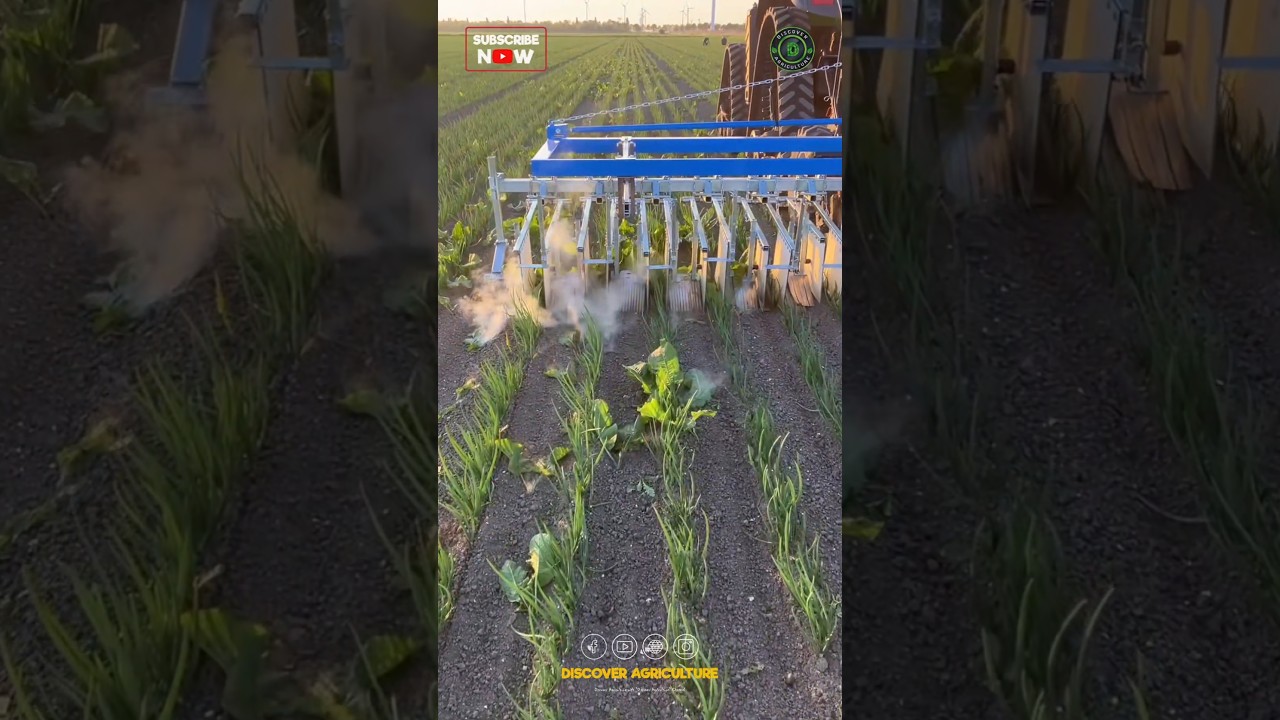 This is how Laser Weeding Technology