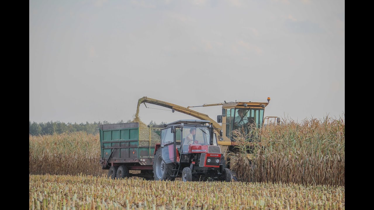 Koszenie Kukurydzy na Kiszonkę 2018! 4x Ursus  |  Renault 133.54  | New Holland S1900