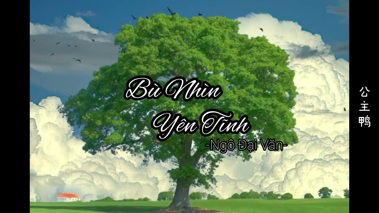 [Vietsub] Bù nhìn yên tĩnh (安静沉睡的稻草人) - Ngô Đại Văn(吴大文)