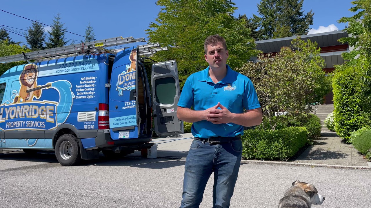 Another Client Success Story | Lyonridge Property Service