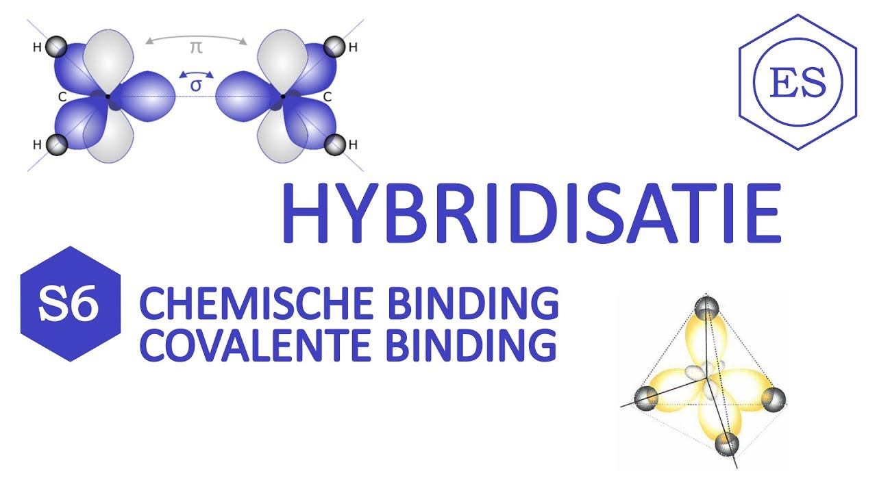 S6 covalente binding - Hybridisatie