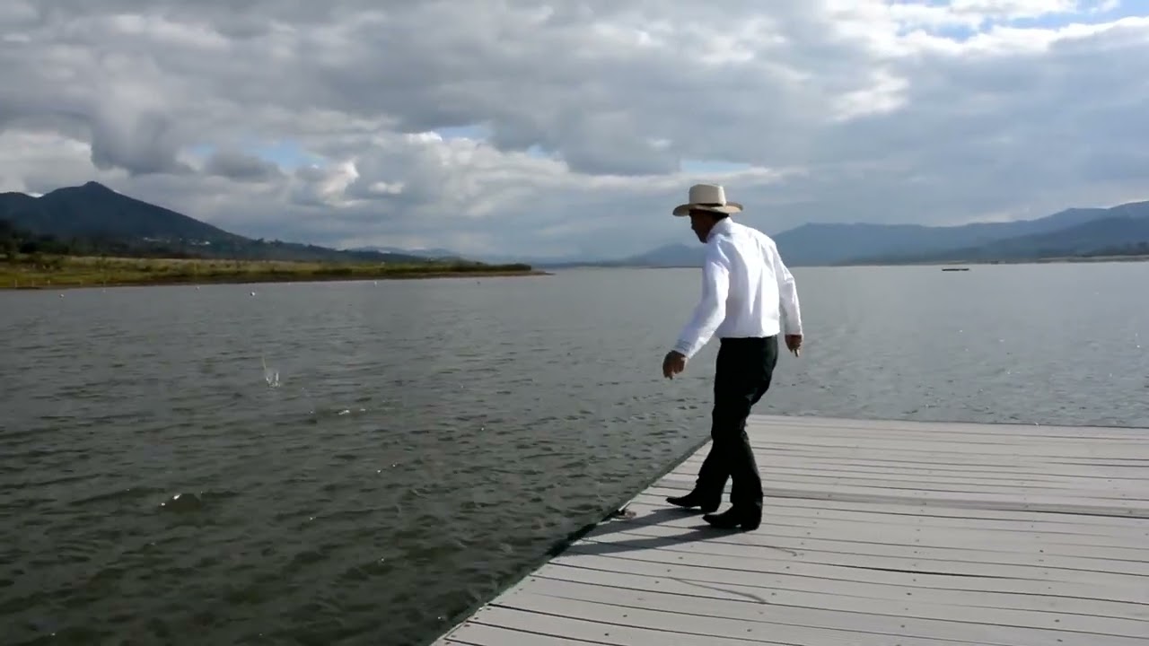 A LAS TIERRAS DEL DORADO - EL DESPECHO TIENE CURA