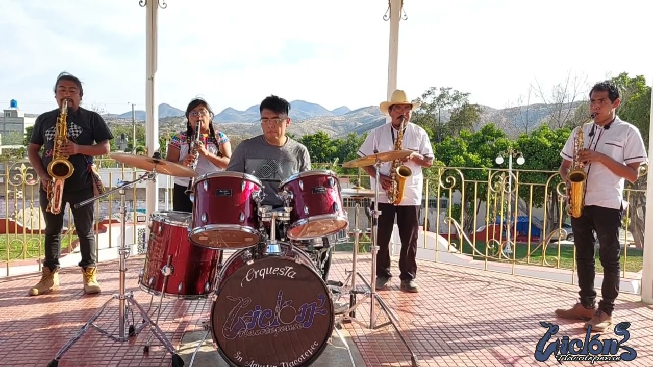 Tema: La tejoncita
