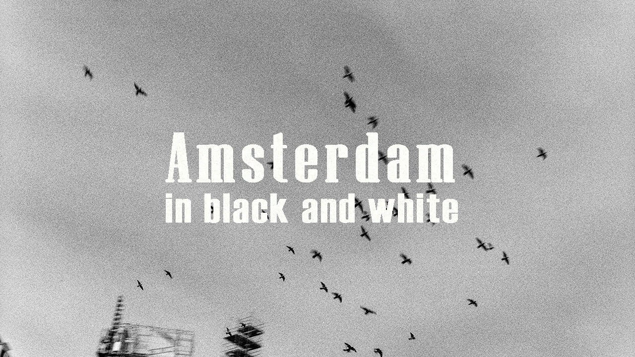 Exploring Amsterdam in 35mm 🎞 with two underrated BW film rolls