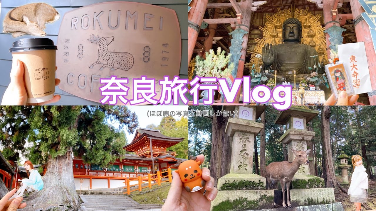 【旅行】母と娘で行く、秋の奈良・京都旅行(前編)