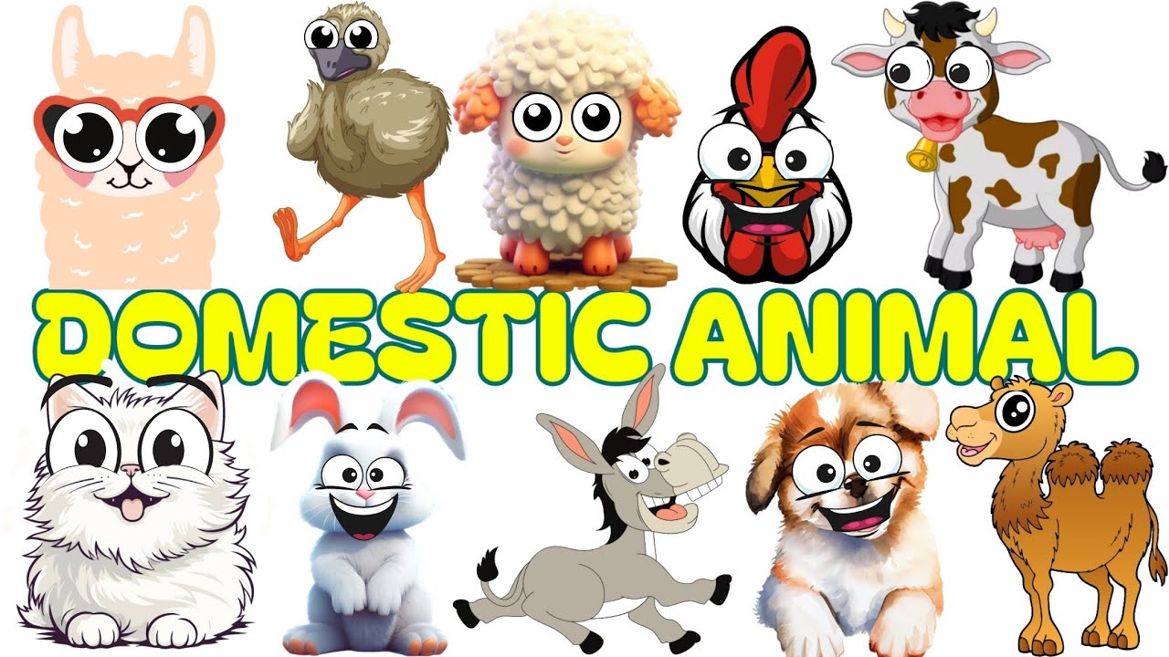 Animals for Kids |Farm animal sound | vocabulary #animals #kids #farm #funny