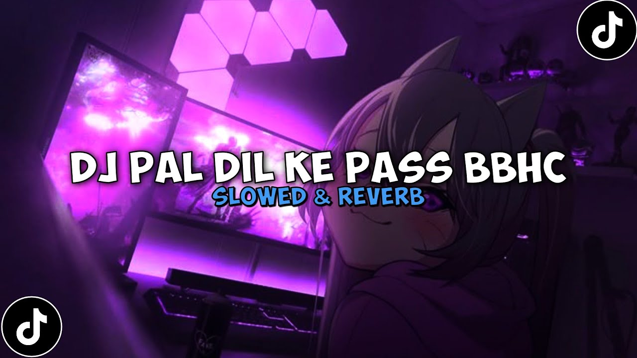 DJ PAL DIL KE PASS BBHC ( Slowed & Reverb ) 🎧