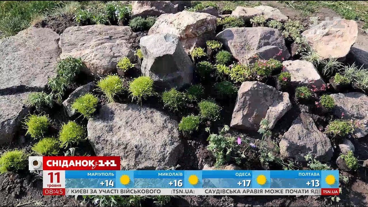 Как создать каменистый сад - Зеленый участок