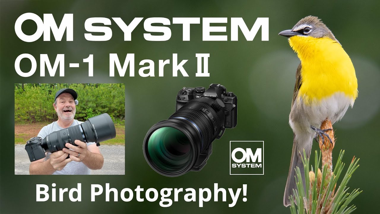 OM SYSTEM OM-1 Mark II 150-600mm Bird Photography! Migratory Birds