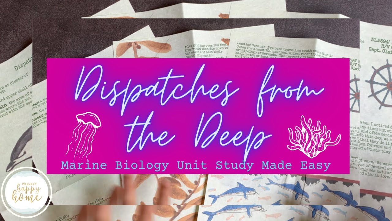 DISPATCHES FROM THE DEEP REVIEW || SECULAR HOMESCHOOL SCIENCE
