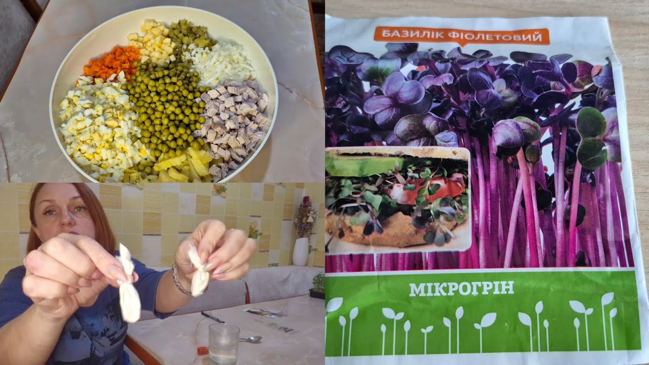 НАДІЙНИЙ  СПОСІБ ПРОРОЩЕННЯ НАСІННЯ ТОМАТІВ 🍅🌶🍆 МІКРОЗЕЛЕНЬ І ОЛІВ'Є.  
