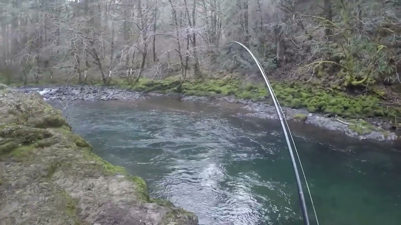 Steelhead fishing impresive moment