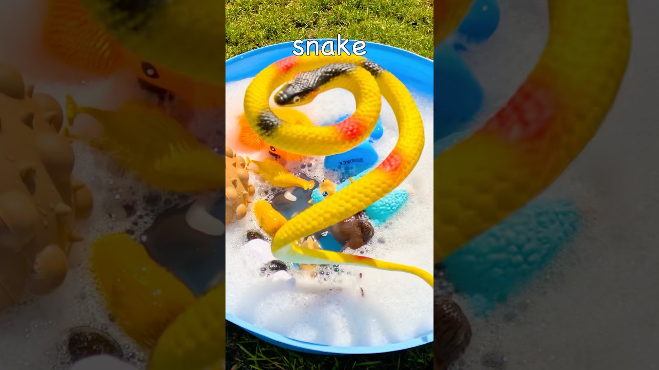 Speed Run Animal Names Learning for Kids: Newt Elephant Chimpanzee Vulture Rooster Gecko Wildebeest