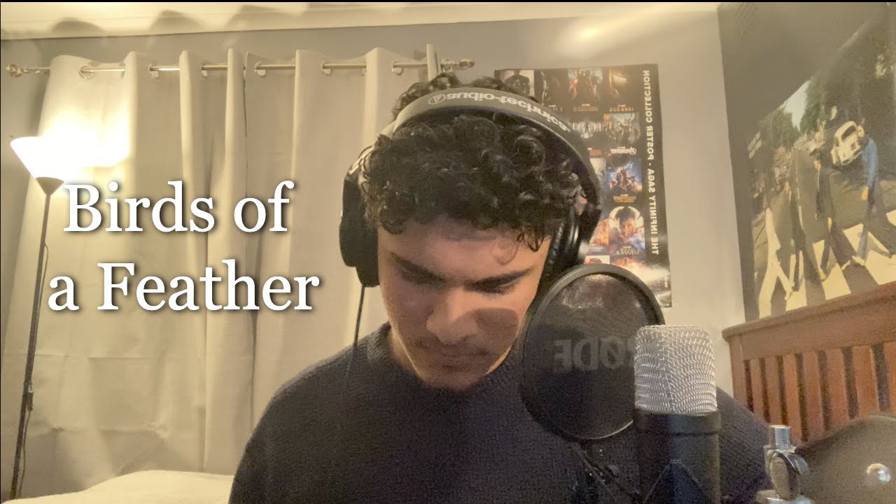 Birds of a Feather- Billie Eilish (Blaise Taran cover)