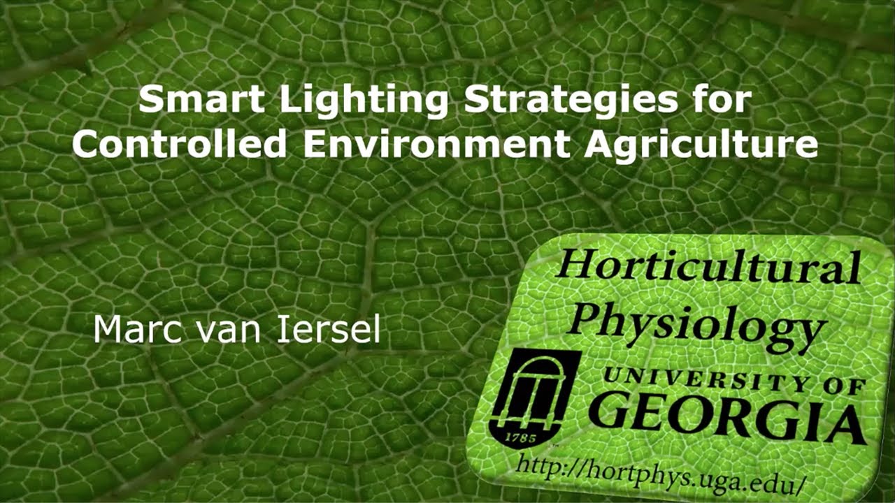 Smart Lighting Strategies for Controlled Environment Agriculture