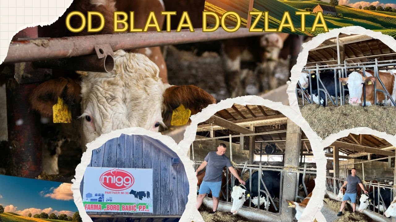Kad ljubav prema stočarstvu spoji generacije – Farma u Prnjavoru