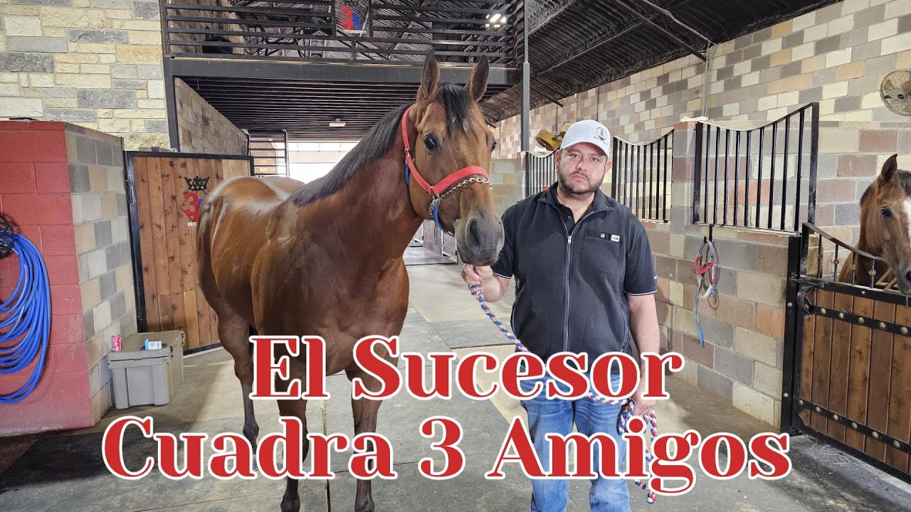 EL SUCESOR - Cuadra 3 Amigos