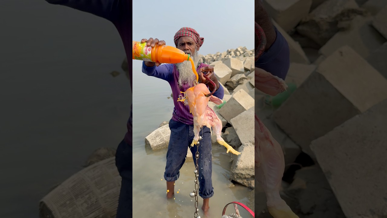 5kg full chicken bait throwing for shark catching! #amazing #fishinglife