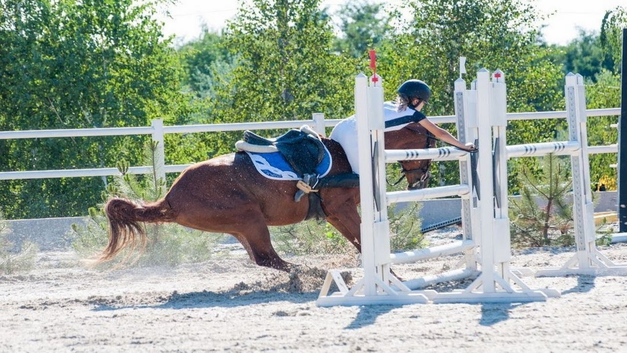 BEST HORSE FAILS OF 2020-2021. Horse show jumping falls compilation