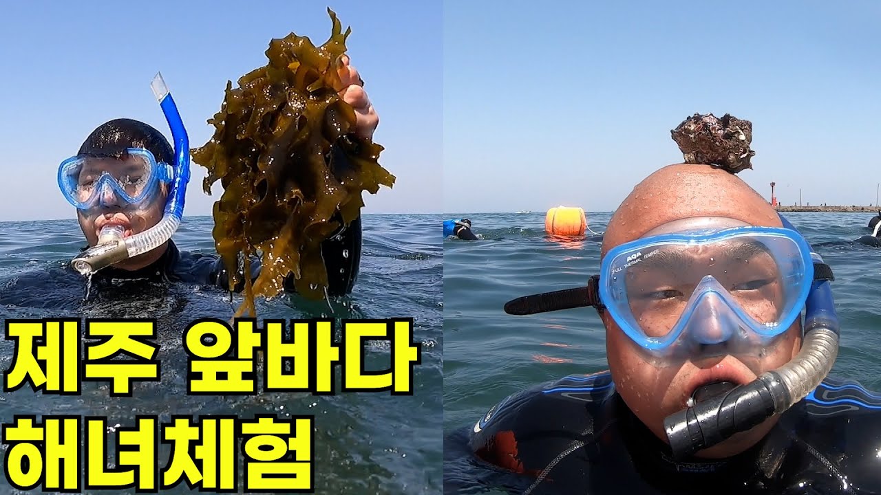 해녀체험🌊 🐙 문어,소라 사드세요... 제발