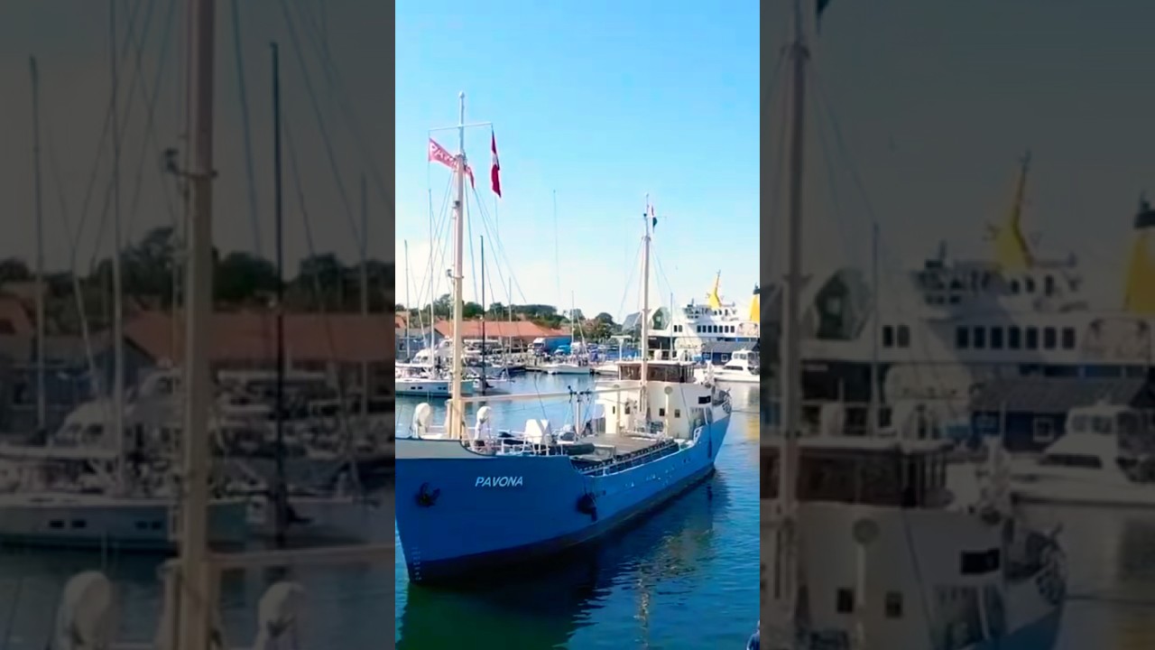 Pavona uit Urk komt de haven van &AElig;r&oslash;sk&oslash;bing binnen varen😎 #urk #pavona #family #schip #ships #cool