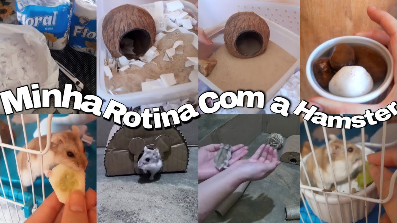 MINHA ROTINA COM A HAMSTER | VLOG 🐹💖
