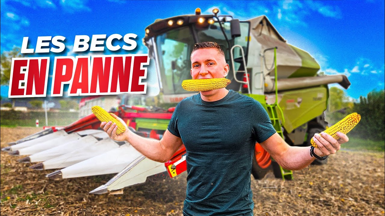 MOISSON DE MA&Iuml;S 2022 PARTIE 2
