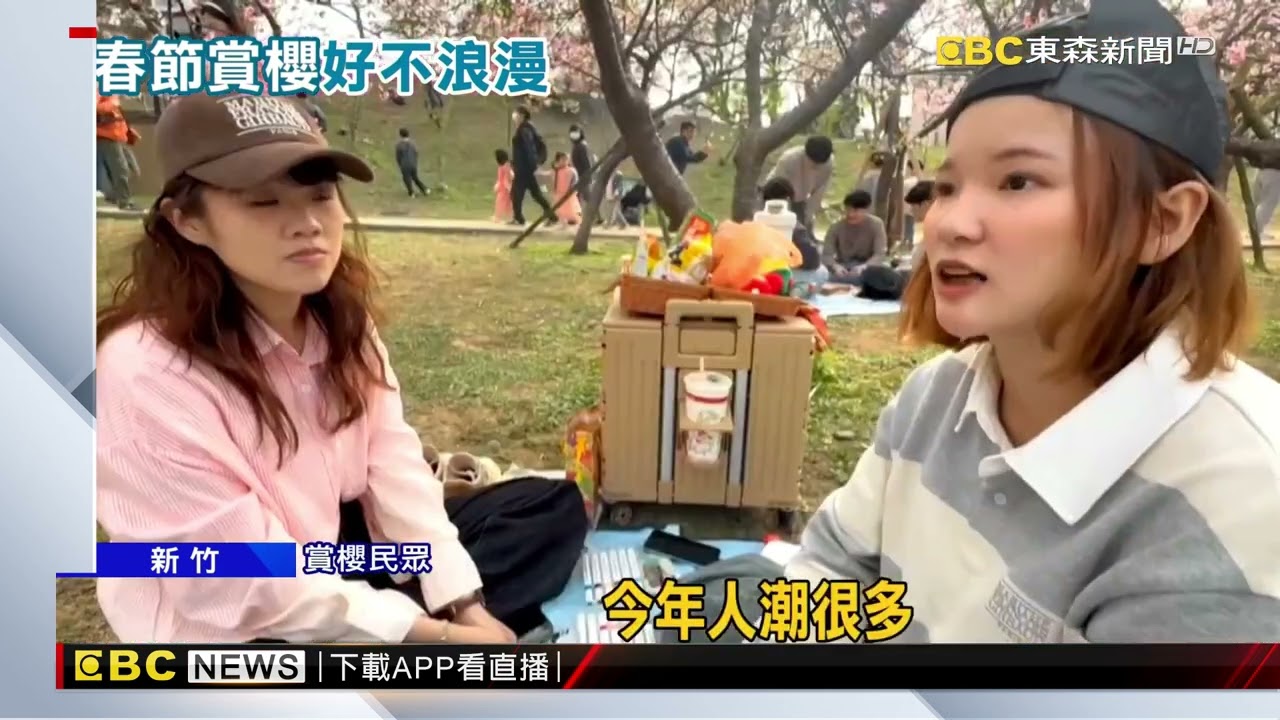 新竹公園粉紅櫻盛開 民眾利用假期走春賞櫻 @newsebc