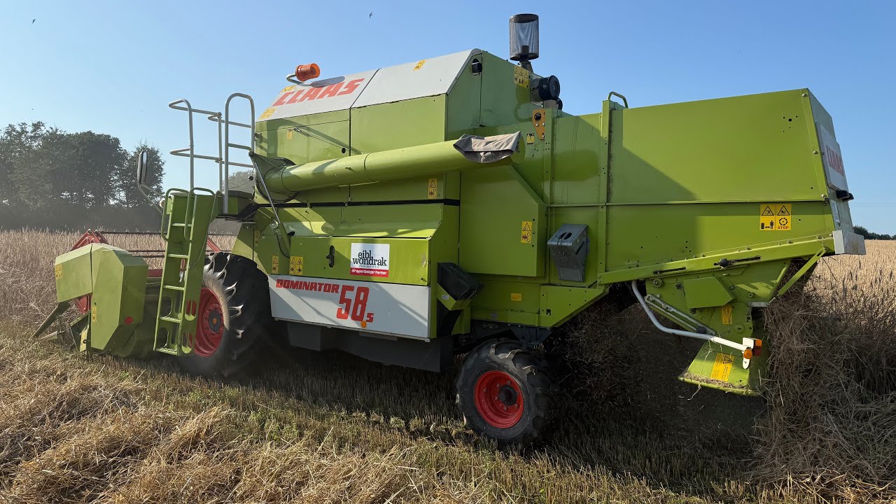 Claas dominator 58 S kosimy żyto sezon 2025.
