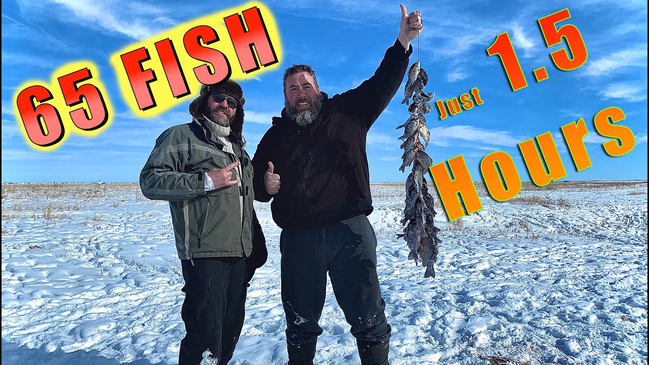 HOW TO CATCH TONS OF WINTER PRUSSIAN CARP