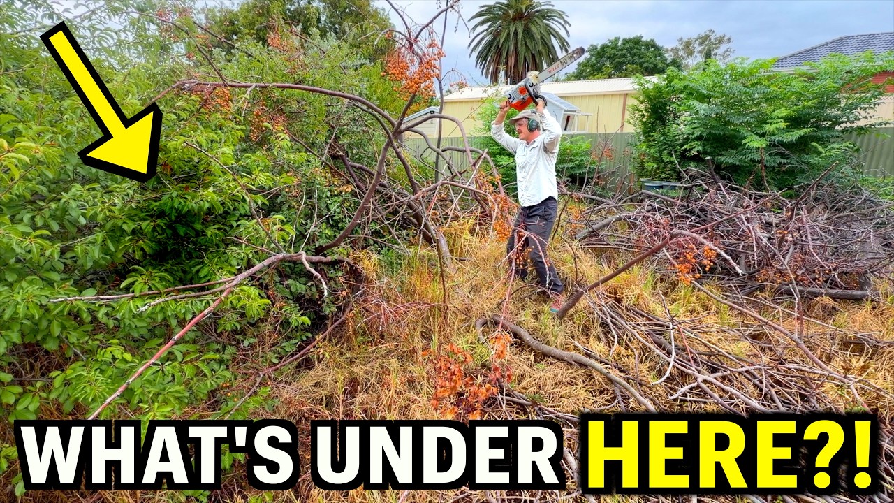 I Couldn't Believe WHAT WAS HIDING Back Here - This Family NEEDED Help!