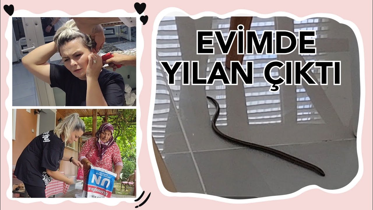 MUTFAĞIMDA YILAN ÇIKTI😱HİÇBİRŞEYDEN HABERSİZ BIRDE KAHVALTI HAZIRLADIM🤭 #vlog
