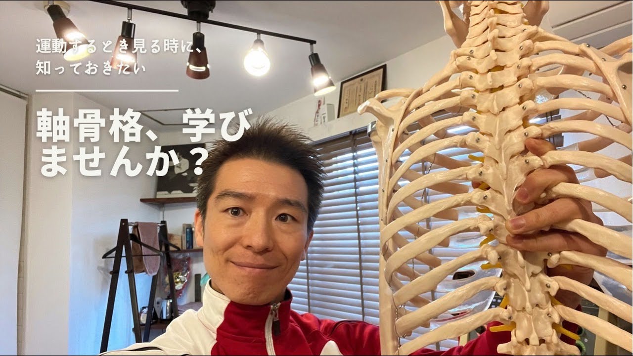 運動するなら、運動見るなら、健康のためなら、、、知っておきたい軸骨格です！