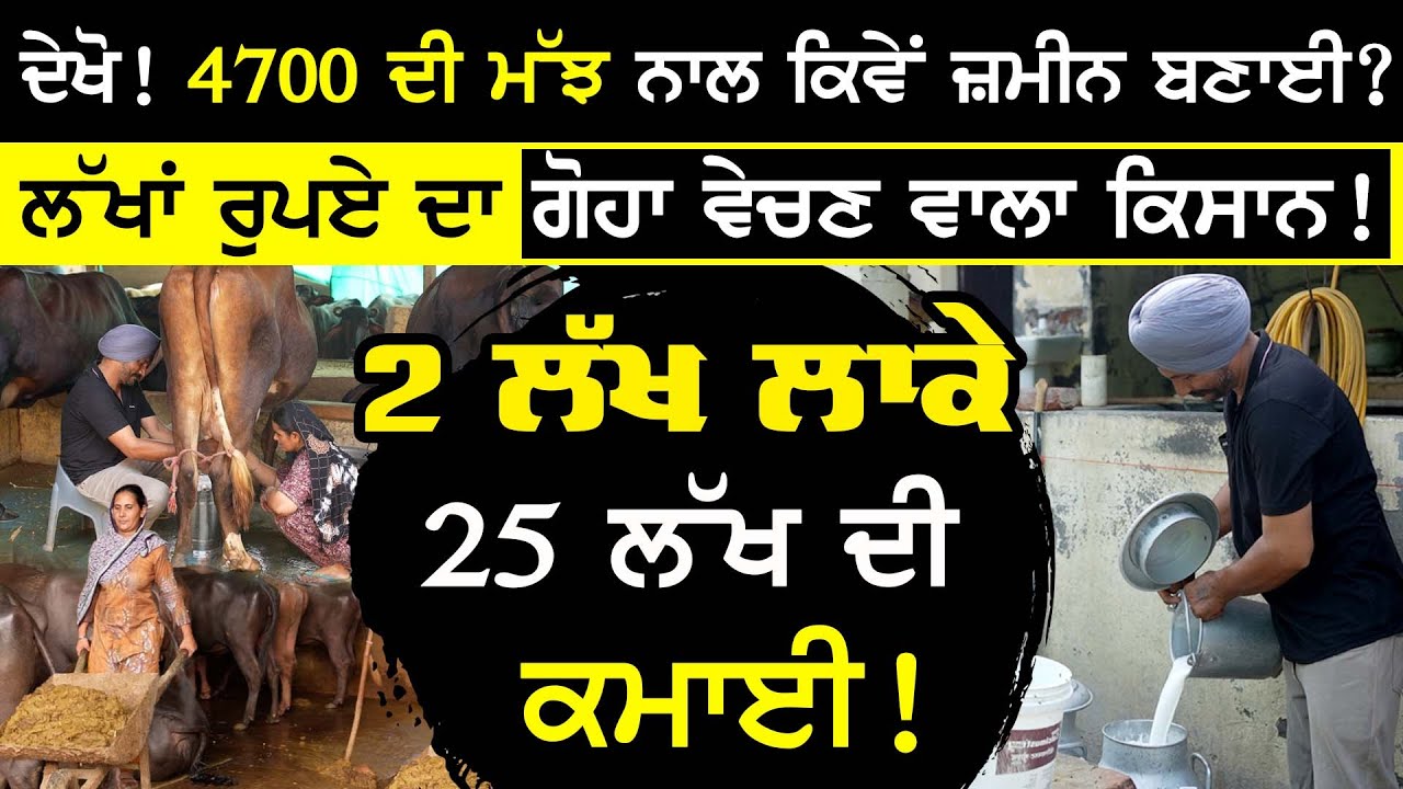 ਲੱਖਾਂ ਰੁਪਏ ਦਾ ਗੋਹਾ ਵੇਚਣ ਵਾਲਾ ਕਿਸਾਨ ! | Kundu Dairy Farm | Dairy Farming Punjab | sirlekh
