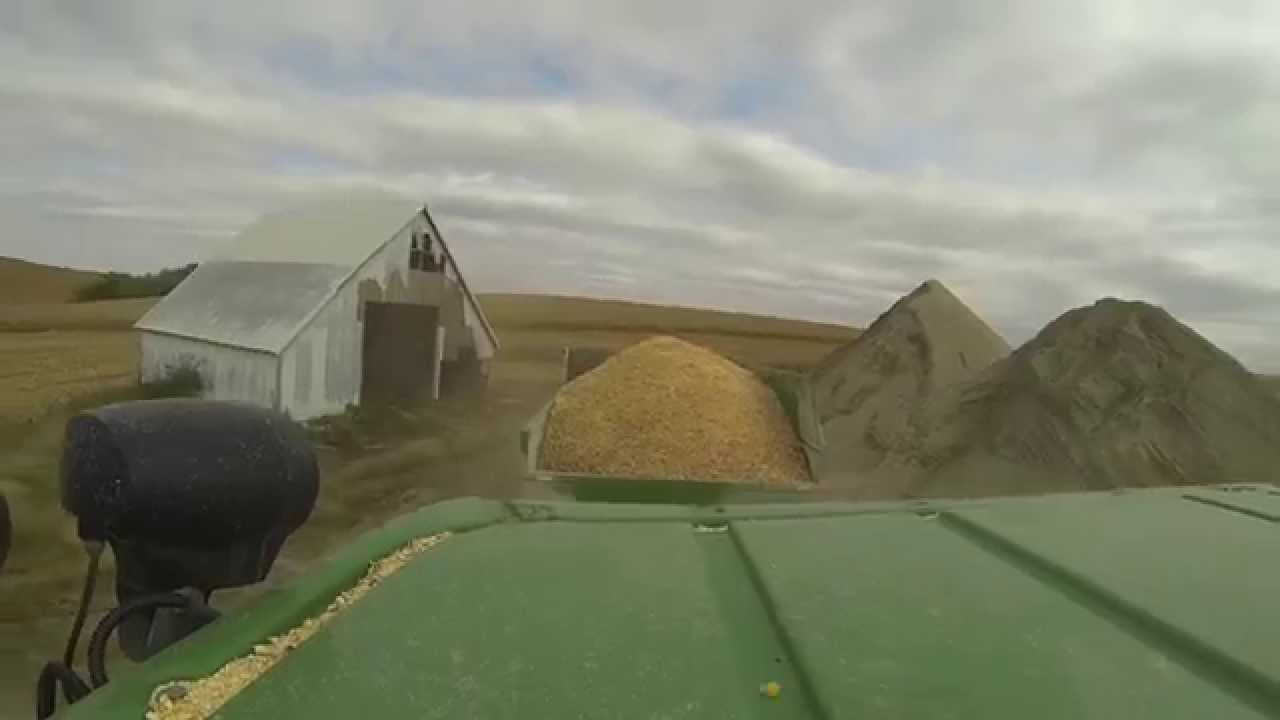 Chopping Earlage 2014