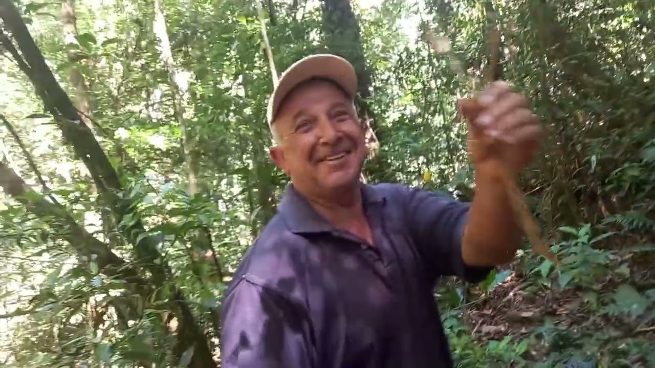 Aventuras perfeitas na mata