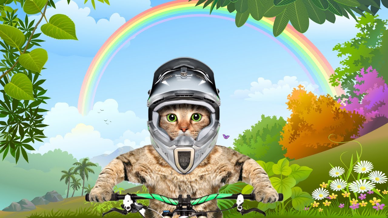 Sleep Story for Kids | THE BIKER CAT | Bedtime Sleep Meditation for Children
