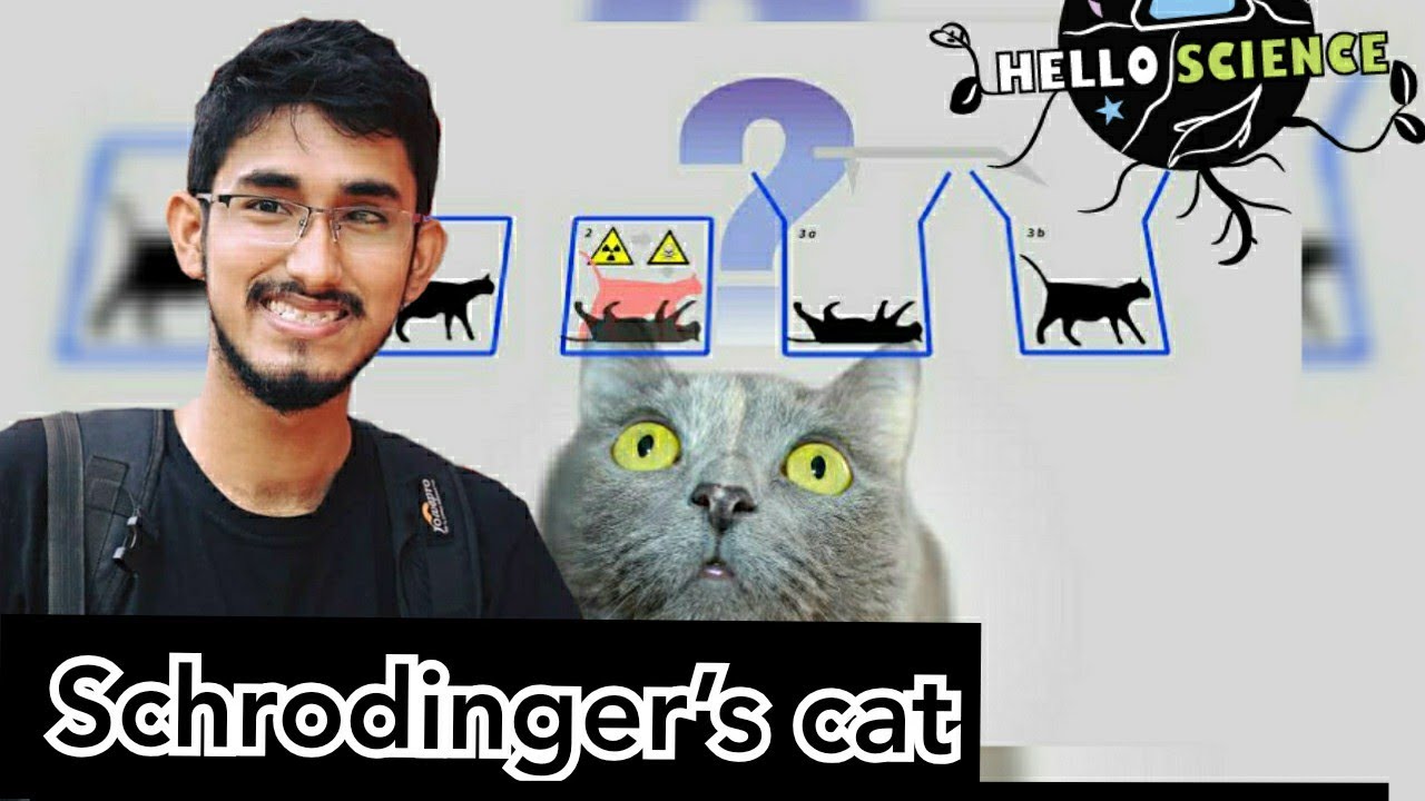 QUANTUM MECHANICS (Schrodinger's Cat) by SAYEM RAHMAN(BUET)