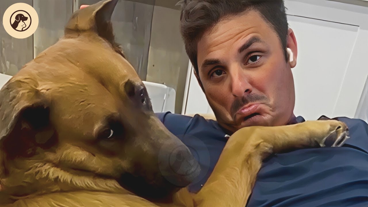 Big-Hearted Shelter Dog Chooses Dad Nightly, Mom Becomes Third Wheel | FaithfulFriends