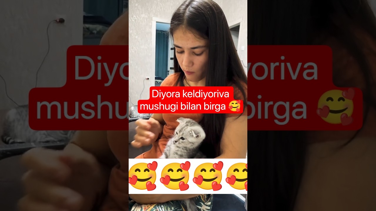 Diyora keldiyoriva mushugi bilan 😍 #sportsshorts #fifashorts #goaloftheday #cooking #nbashorts #mma