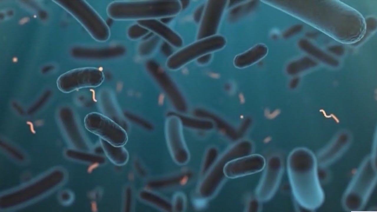 More positive test results for Legionella bacteria in New York City buildings