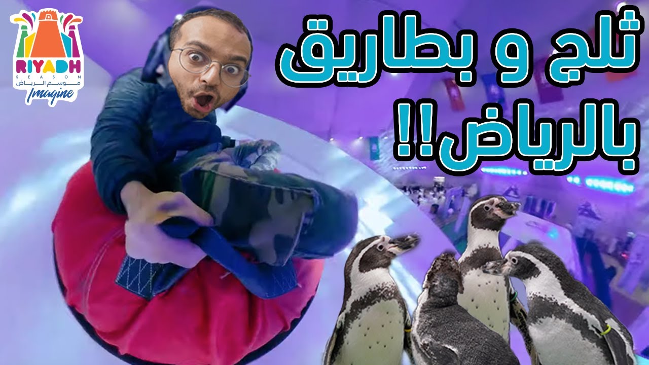 أنس اسكندر في الرياض l الجولة الثانية، تخيل الرياض فيها بطاريق!