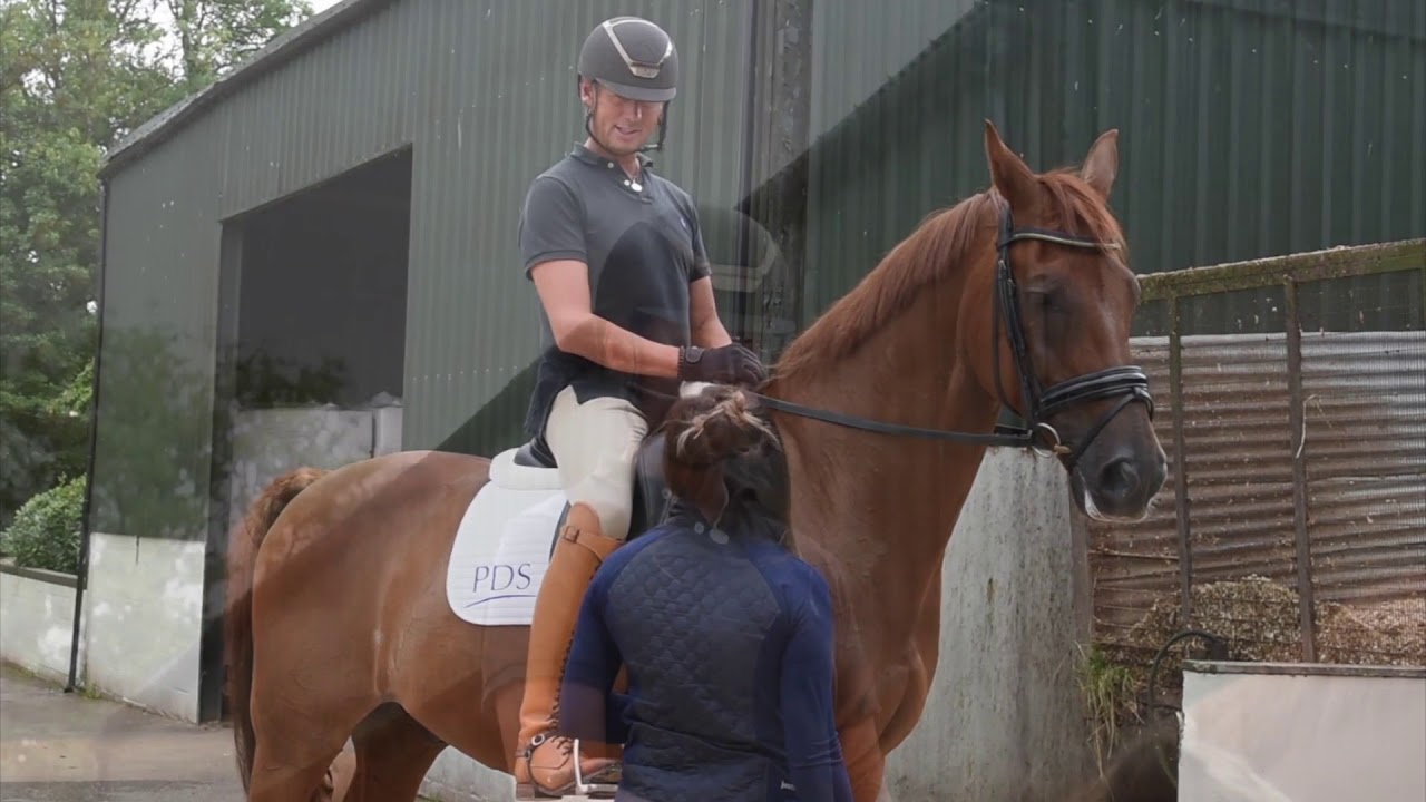 PDS Carl Hester 2018